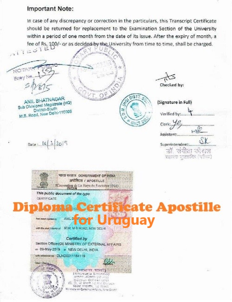 Diploma Certificate Apostille for Uruguay India
